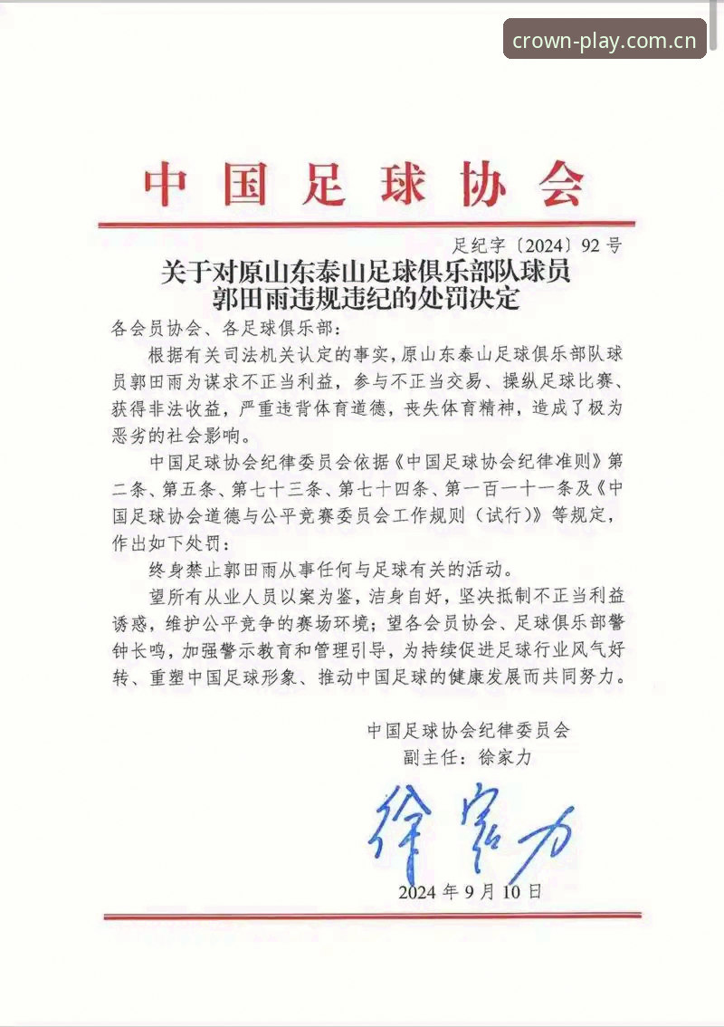 从足协最新禁足名单看中国足球乱象——资深球迷的深度解读与实用观赛指南